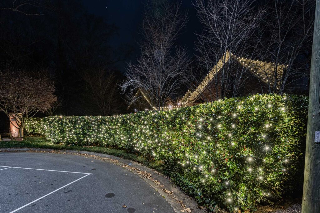 Flowery Branch christmas light installer